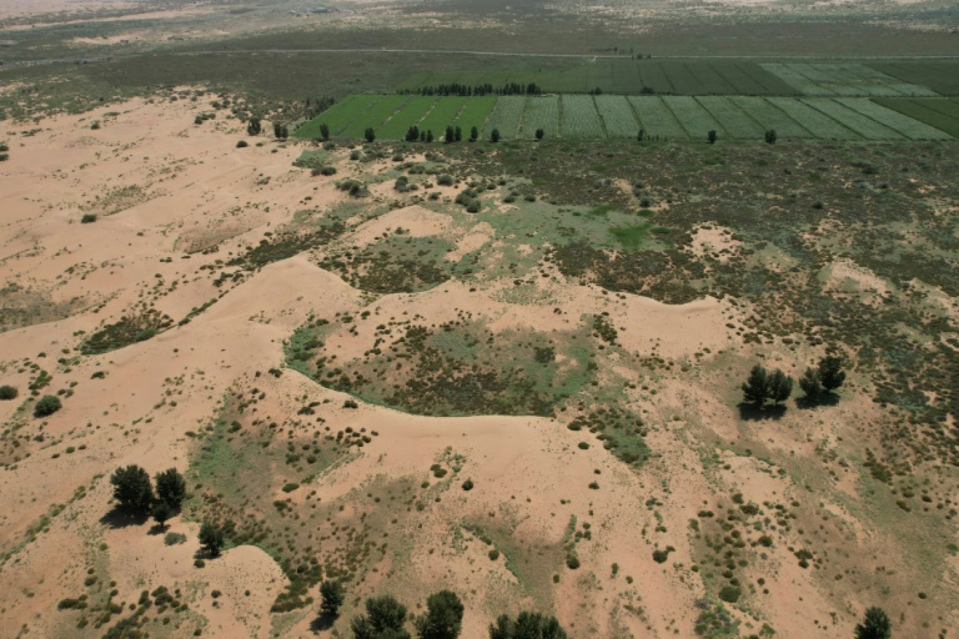Vue aérienne de la zone verte qui contraste avec le désert de Kubuqi, à Ordos au nord de la Chine, le 12 août 2025 © Pedro PARDO
