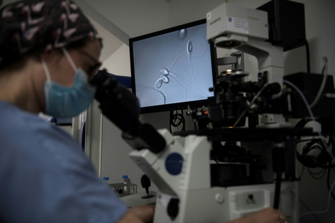 Sélection des spermatozoïdes à traiter pour une procédure de procréation médicalement assistée (PMA) au centre de fertilité du Groupe Hospitalier Diaconesses Croix Saint-Simon, à Paris, le 25 octobre 2022 © JULIEN DE ROSA