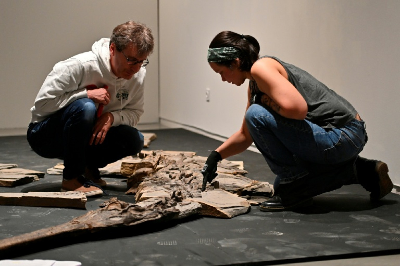 Stéphane Fouché, responsable des collections de paléontologie du musée de Lodève dans l'Hérault, et Camille Auclair, restauratrice et paléontologue pour la société Kraniata, au chevet d’un squelette de crocodile du Jurassique, le 10 octobre 2025 © Sylvain THOMAS