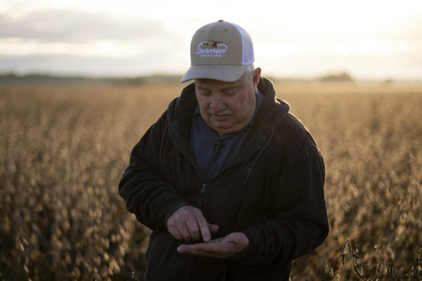 L'agriculteur Travis Hutchison examine des graines de soja dans un champ à Cordova, dans le Maryland, le 10 octobre 2025 © ROBERTO SCHMIDT