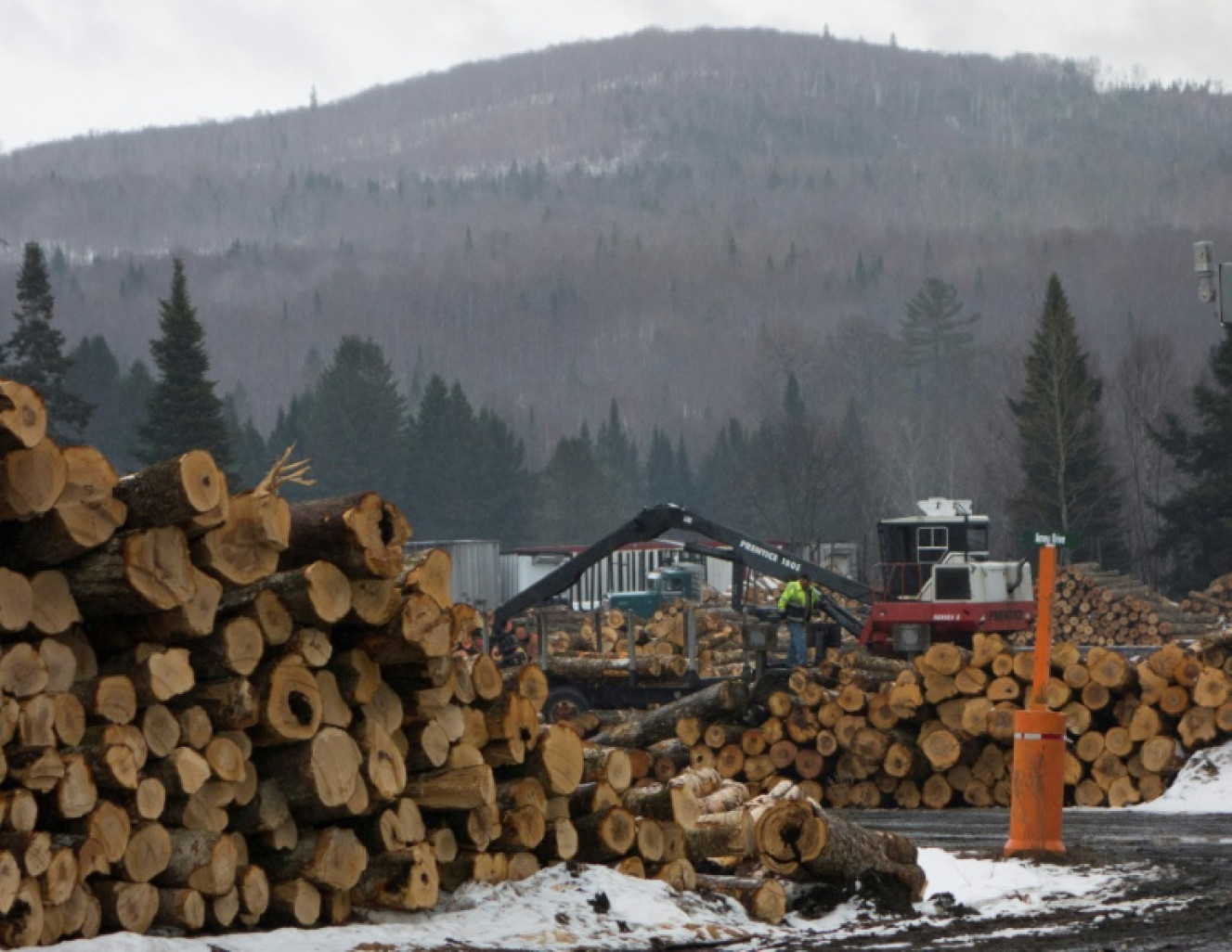 Le bois de construction, les meubles et les aménagements de cuisine sont, depuis mardi à 00h01 (04H01 GMT), les derniers secteurs en date concernés par des droits de douane sectoriels voulus par Donald Trump © Don EMMERT