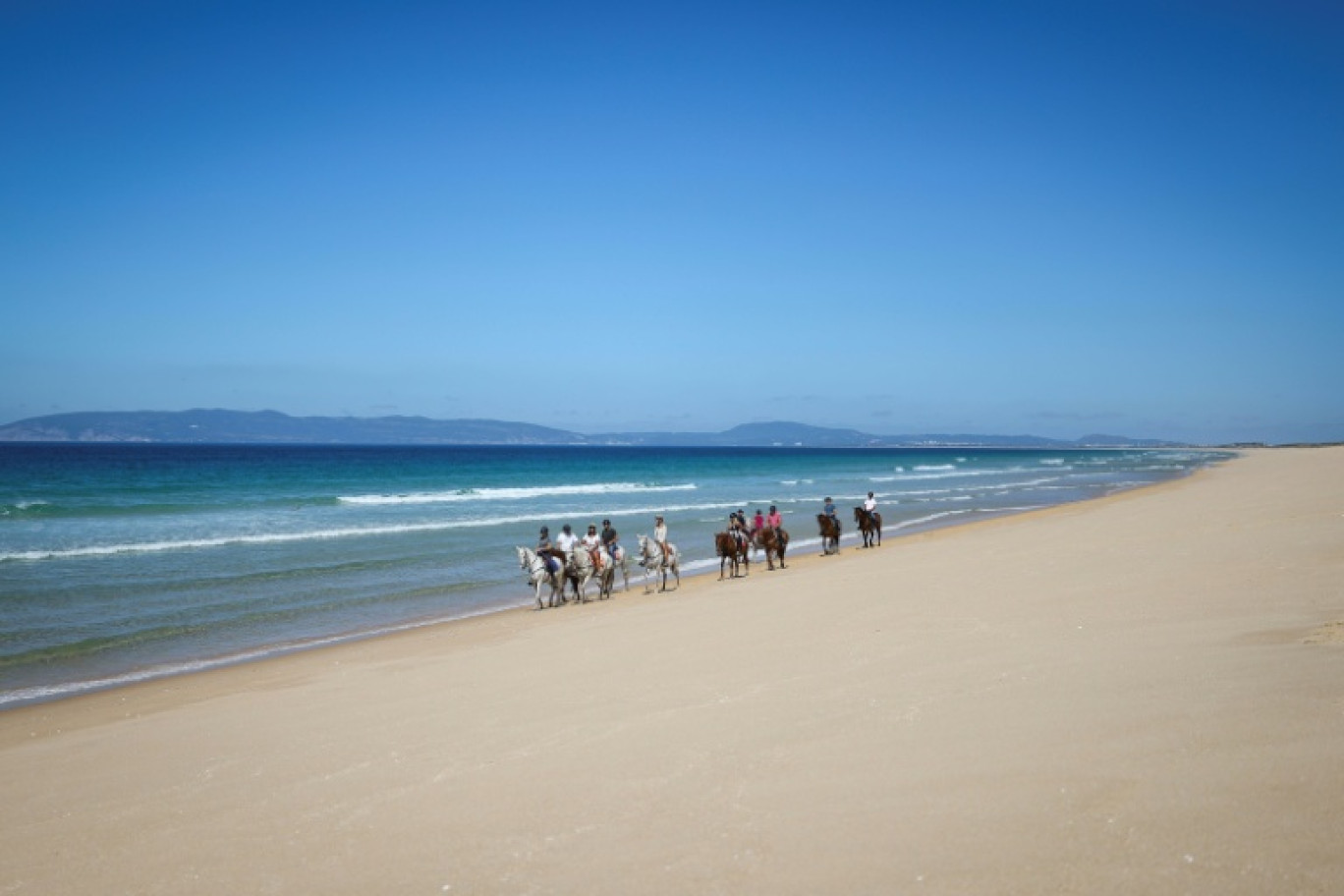 Des touristes se promènent à cheval sur la plage de Comporta, le 11 septembre 2025 au Portugal © Patricia DE MELO MOREIRA