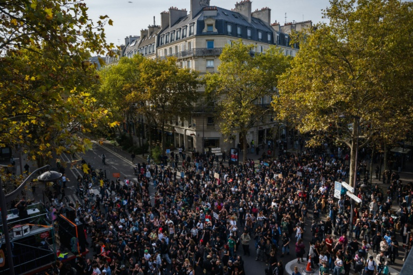 La manifestation du mouvement "Free Party" à Paris samedi © Dimitar DILKOFF