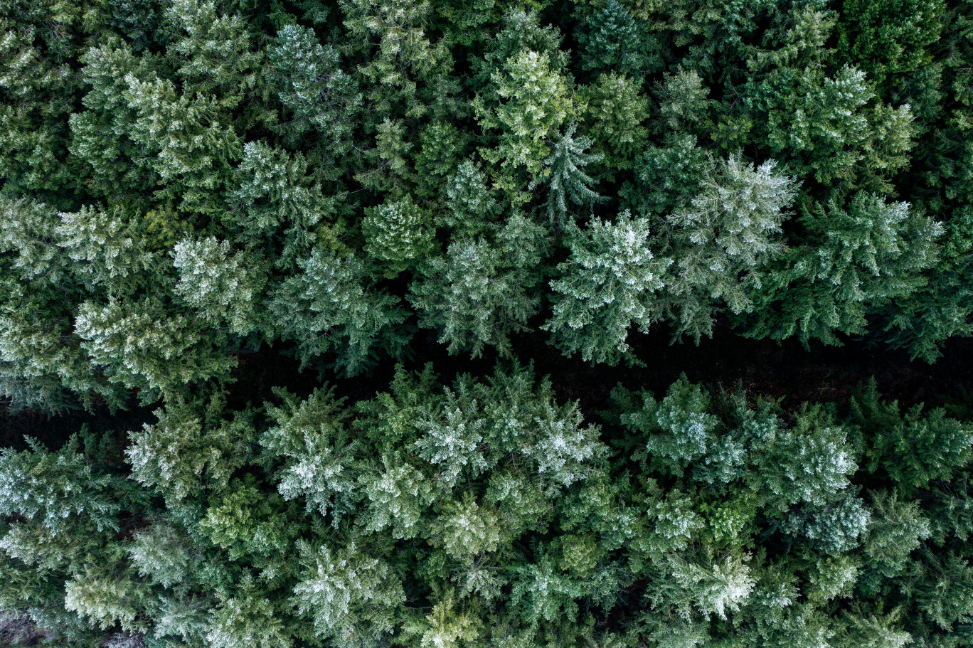 © Adobe Stock.