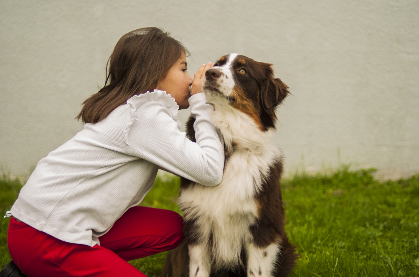Avec Aninomade, les enfants victimes de violence pourront chuchoter à l’oreille d’un chien tout au long de la procédure d’audition. © Aninomade