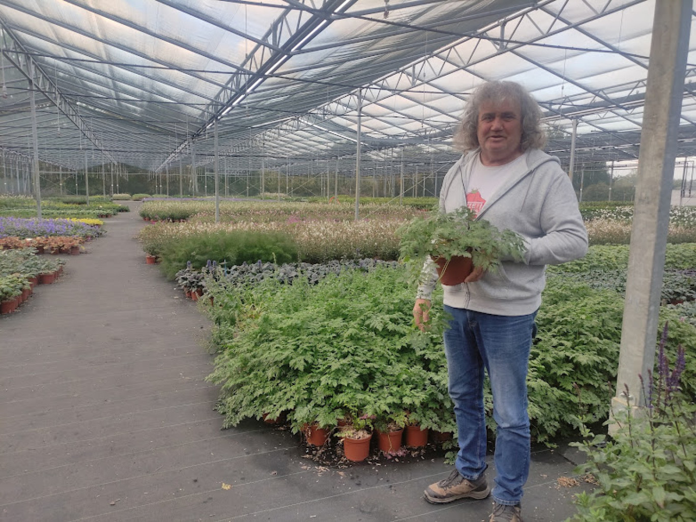 Vincent Chombart parmi ses plantations, sous l’ombrière de son site d'Hombleux.
