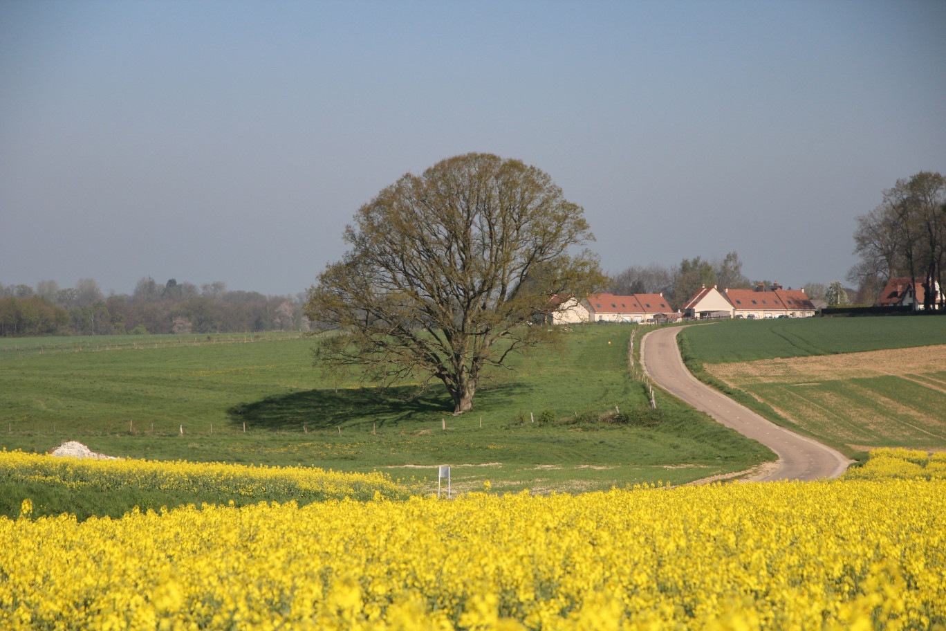 Près de 500 emplois sont directement liés à l’agriculture dans le Pays de Valois. © Aletheia Press / B.Delabre