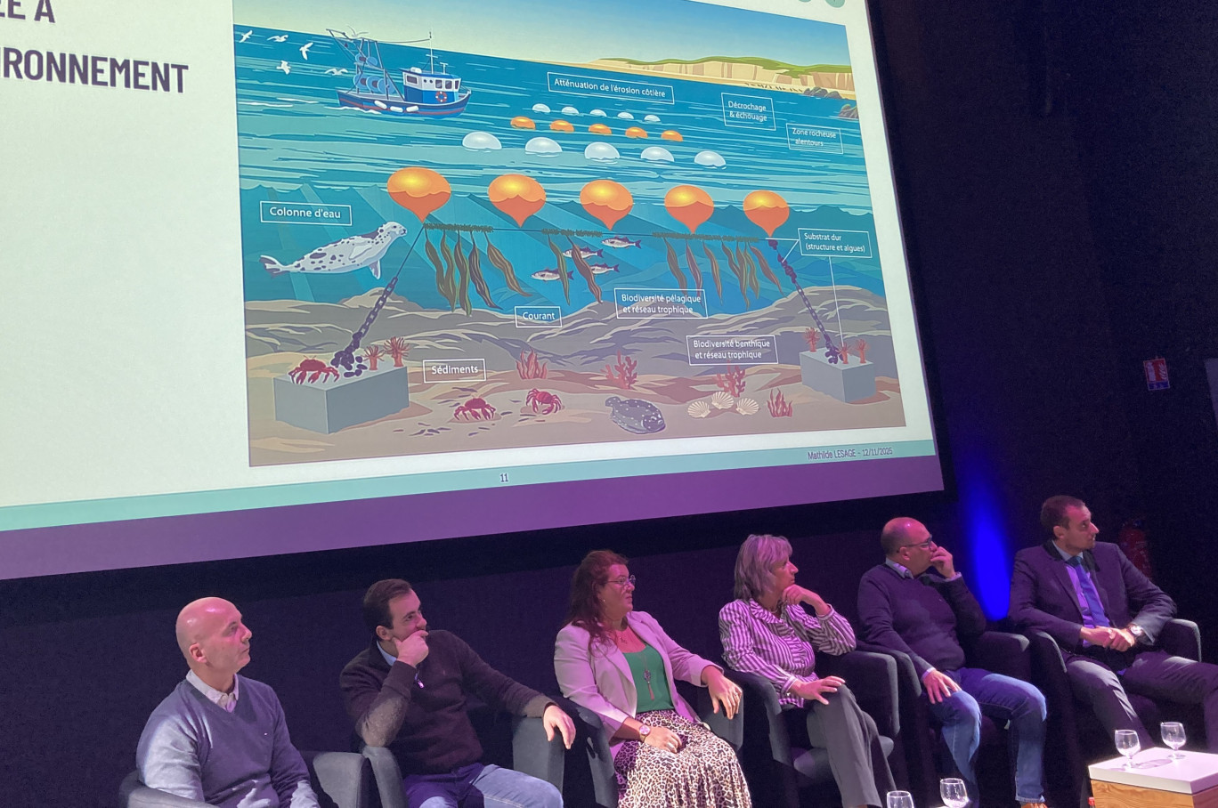  Avec Opalgue, une filière de l'algaculture est en train de voir le jour sur la côte d'Opale. © Aletheia Press / M. Railane