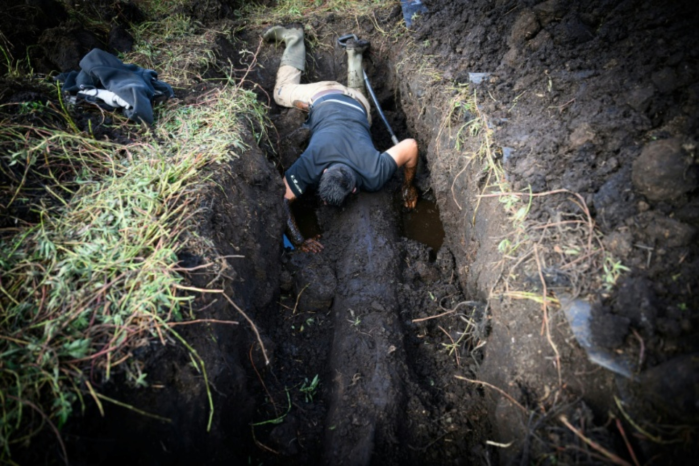 Un coutelier de l'atelier JHP creuse pour extraire un tronc de chêne en cours de fossilisation, appelé morta, dans la tourbe du marais de Brière, à Saint-André-des-Eaux, en Loire-Atlantique, le 15 octobre 2025 © Loic VENANCE