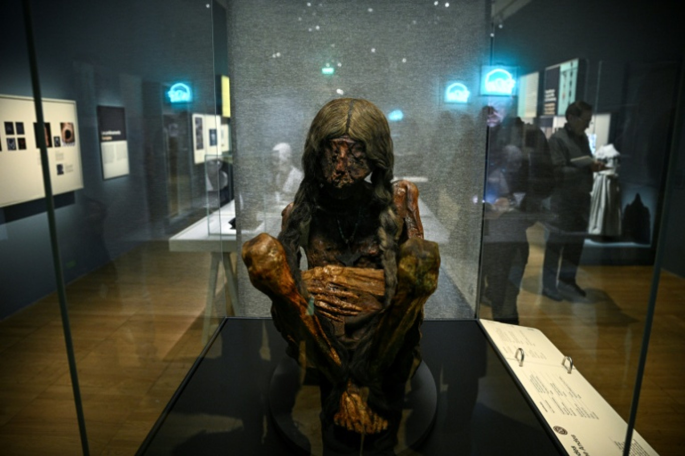 Une momie des Andes boliviennes nommée "Jeune femme des Andes" présentée lors de la visite de presse de l'exposition "Momies", au Musée de l’Homme à Paris, le 18 novembre 2025 © JULIEN DE ROSA