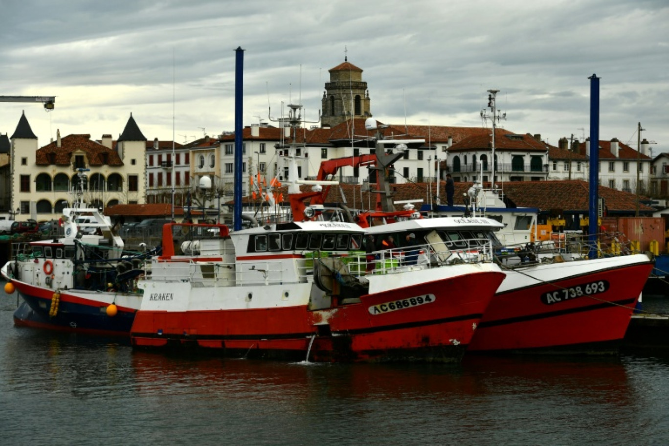 Des bateaux de pêche à Saint-Jean-de-Luz (Pyrénées-Atlantiques), le 22 janvier 2024 © GAIZKA IROZ
