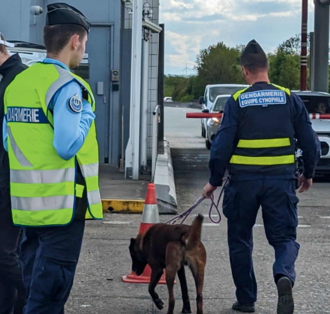 © Département de la Somme.