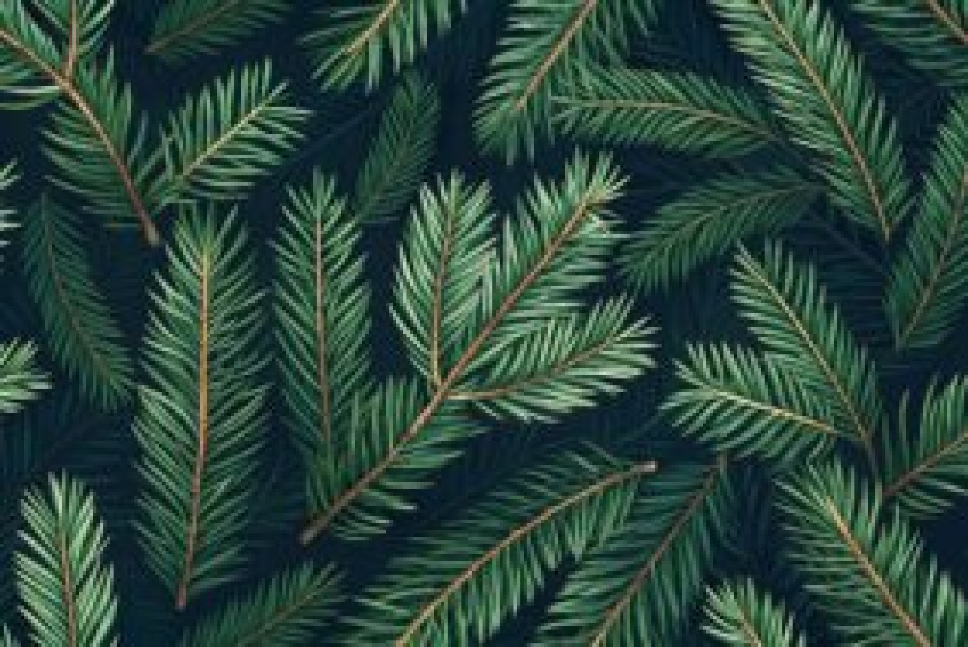 © Mâconnais-Beaujolais Agglomération (MBA).