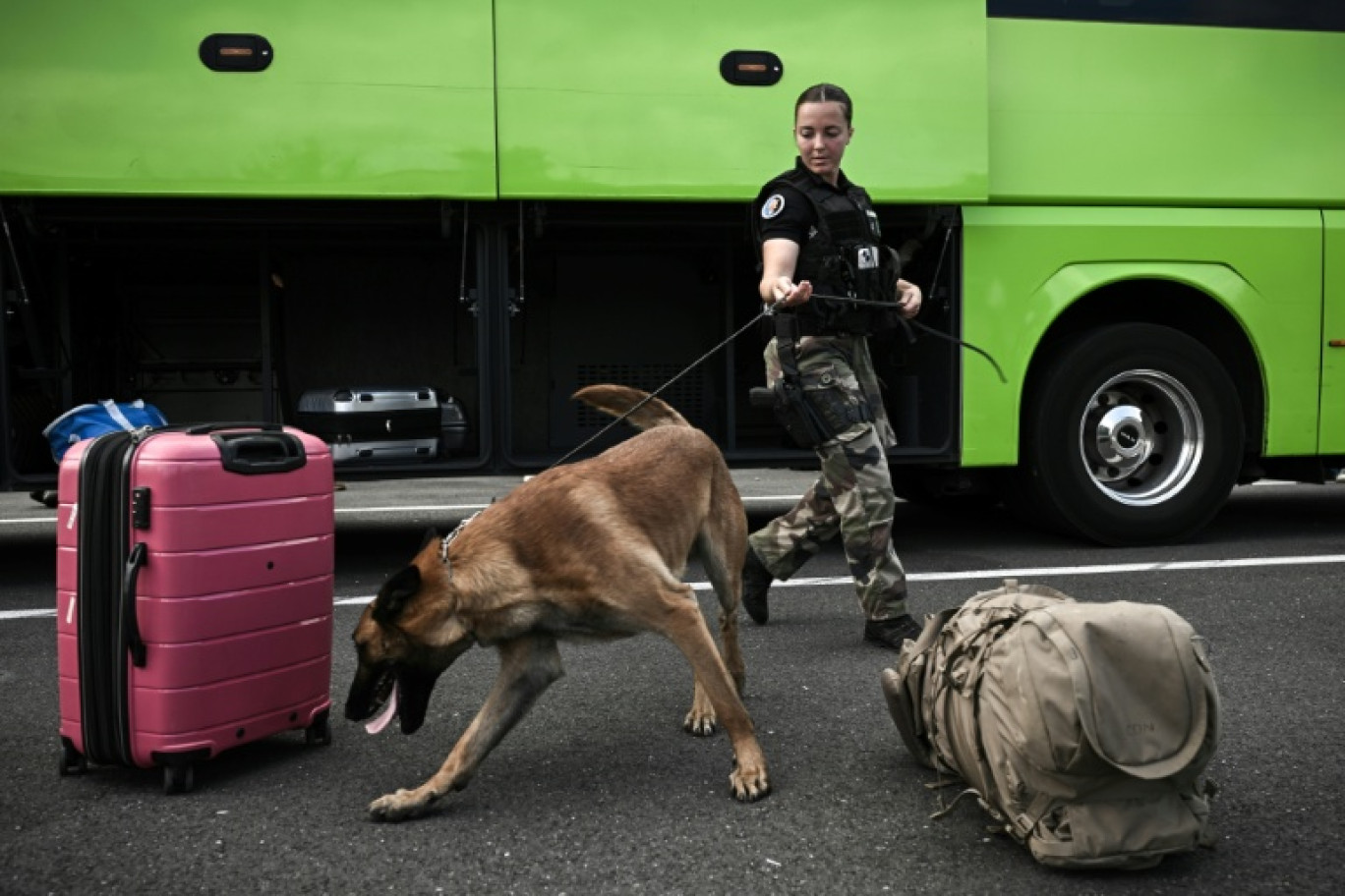 Une gendarme dirige son malinois pour détecter l'éventuelle présence de stupéfiants dans des bagages lors d'un contrôle à Sainte-Colombe-en-Bruilhois, près d'Agen, le 3 août 2024 © Philippe Lopez