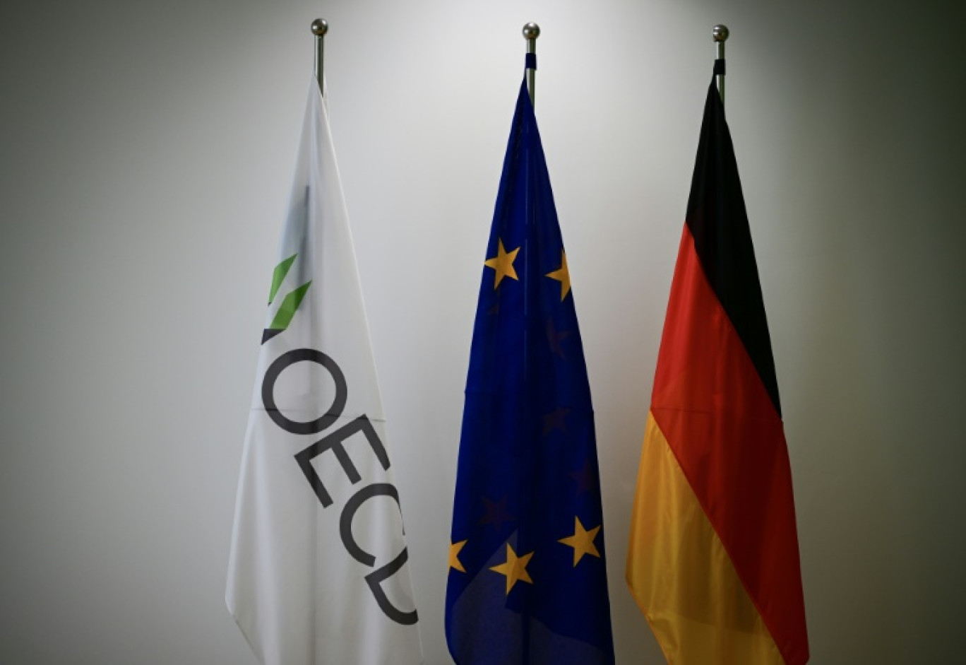 Les drapeaux de l'OCDE, de l'UE et de l'Allemagne, le 12 juin 2025, à Berlin © Tobias SCHWARZ