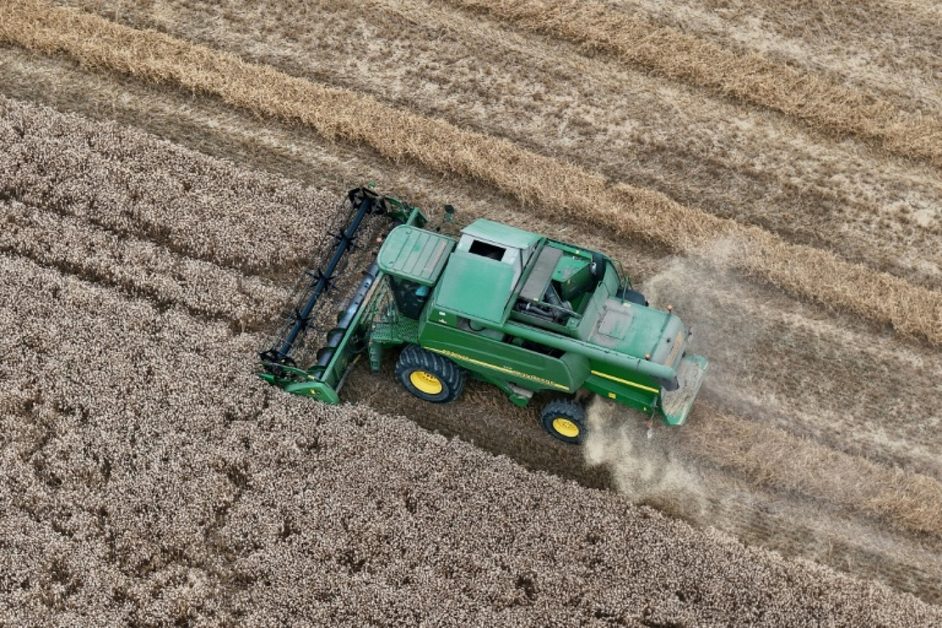 Moissoneuse-batteuse récoltant le blé le 18 juillet 2025 à Hede-Bazouges, dans le département d'Ille-et-Vilaine, en Bretagne. La récolte mondiale de toutes les céréales devrait pour la première fois dépasser 3 milliards de tonnes. © Damien MEYER