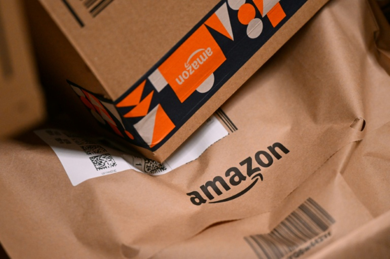 Amazon évalue à "plus de 100 millions d'euros" l'impact pour les Français de la loi qui impose depuis deux ans des frais de port de trois euros pour les achats de livres en ligne en dessous de 35 euros © Ina FASSBENDER
