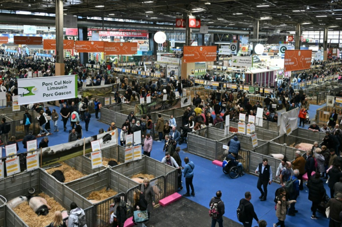 Des visiteurs du Salon de l'Agriculture au parc des expositions de la Porte de Versailles, le 27 février 2025 à Paris © Bertrand GUAY