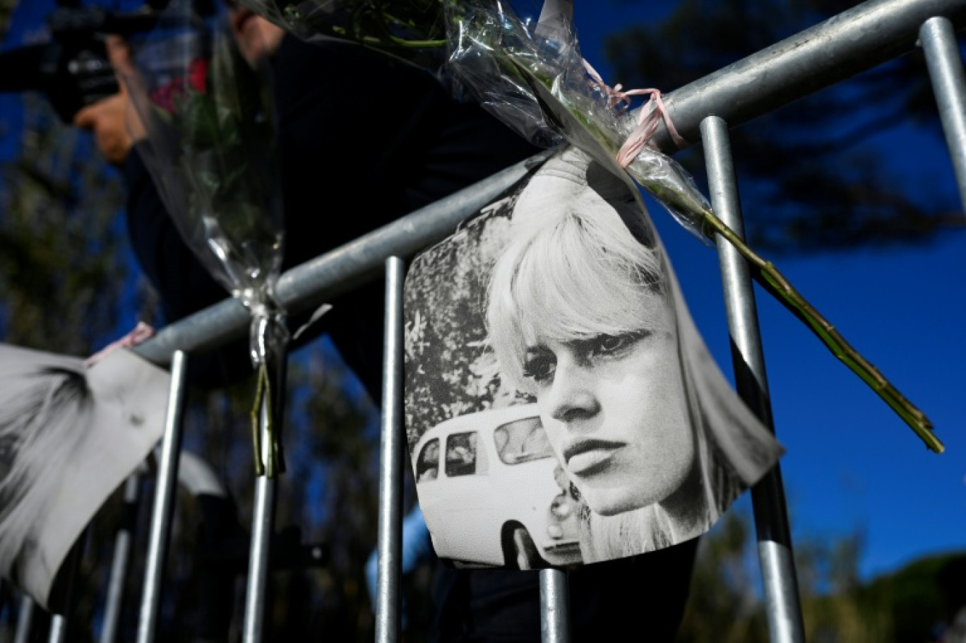 Un portrait et des fleurs accrochés sur une barrière en hommage à Brigitte Bardot à l'entrée de sa propriété de Saint-Tropez, le 28 décembre 2025 © Frederic DIDES
