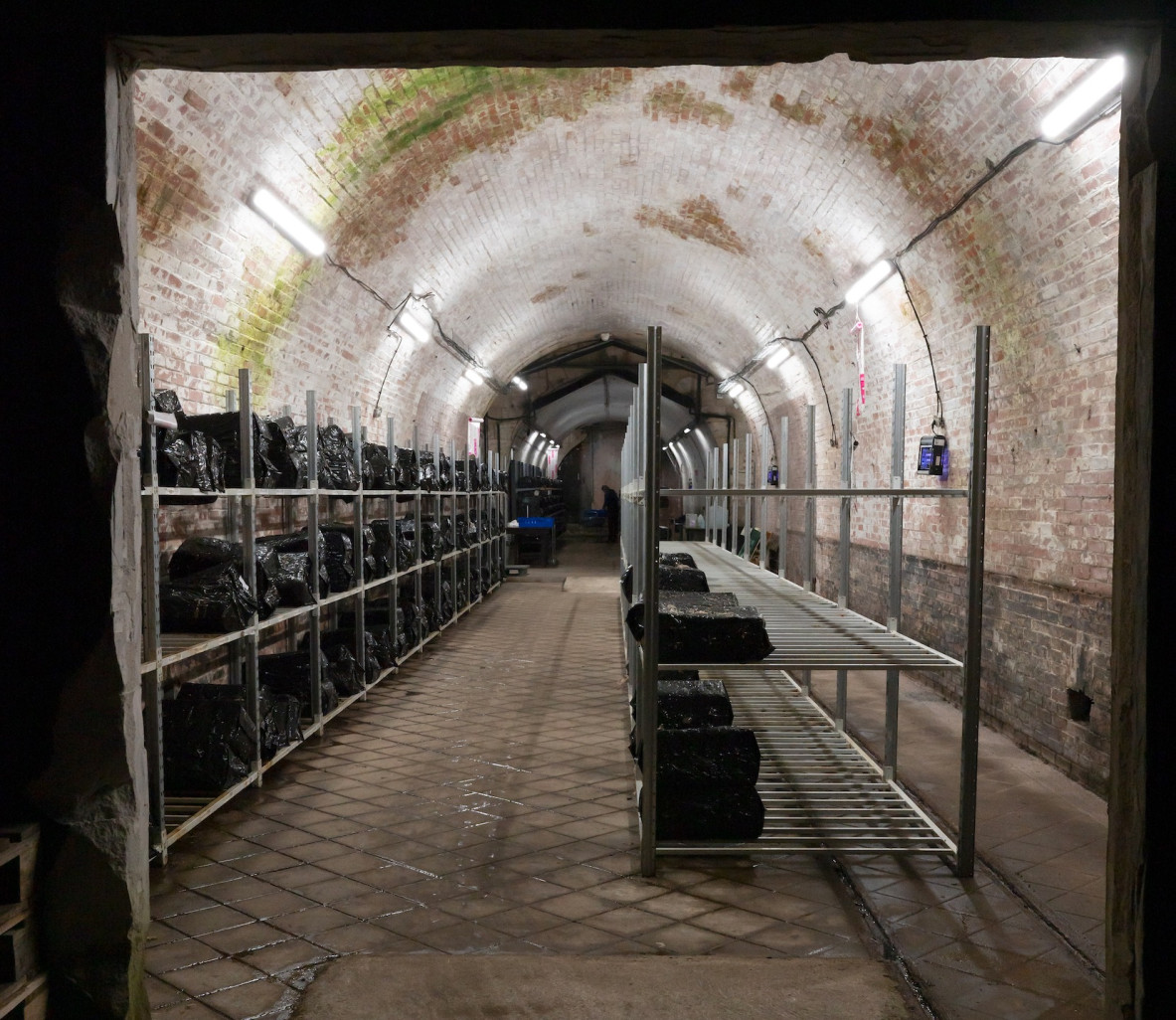 © Laurence Deleau. Visite insolite dans la citadelle souterraine.
