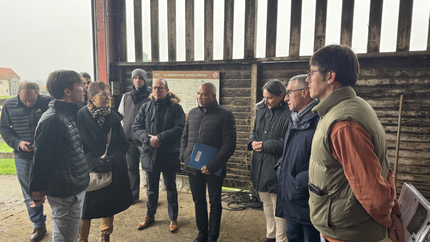 © Lycée de Fontaines.