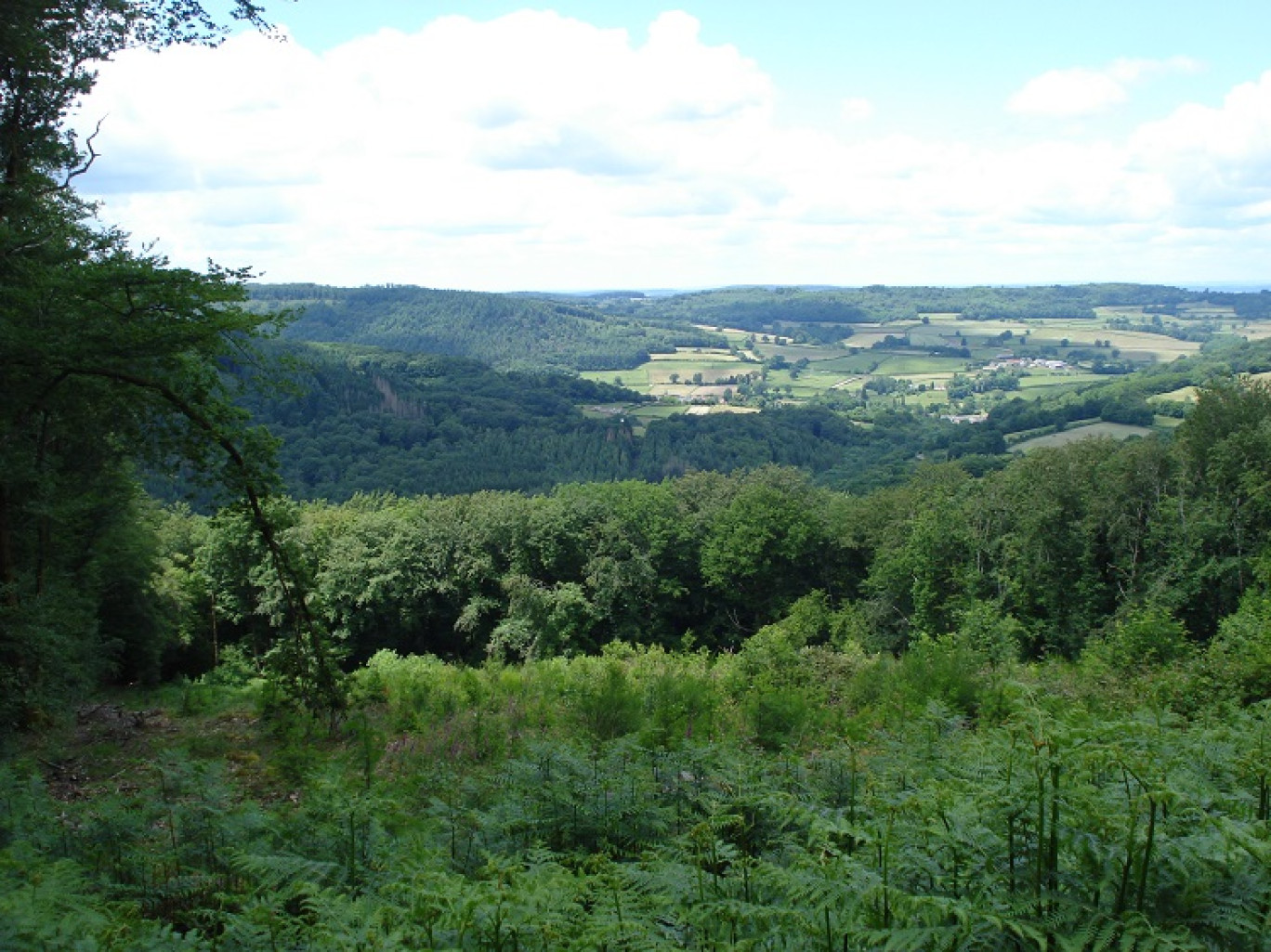Le Morvan, vue vers Dun-les-Places. © Havang(nl) Wikimedia Commons 