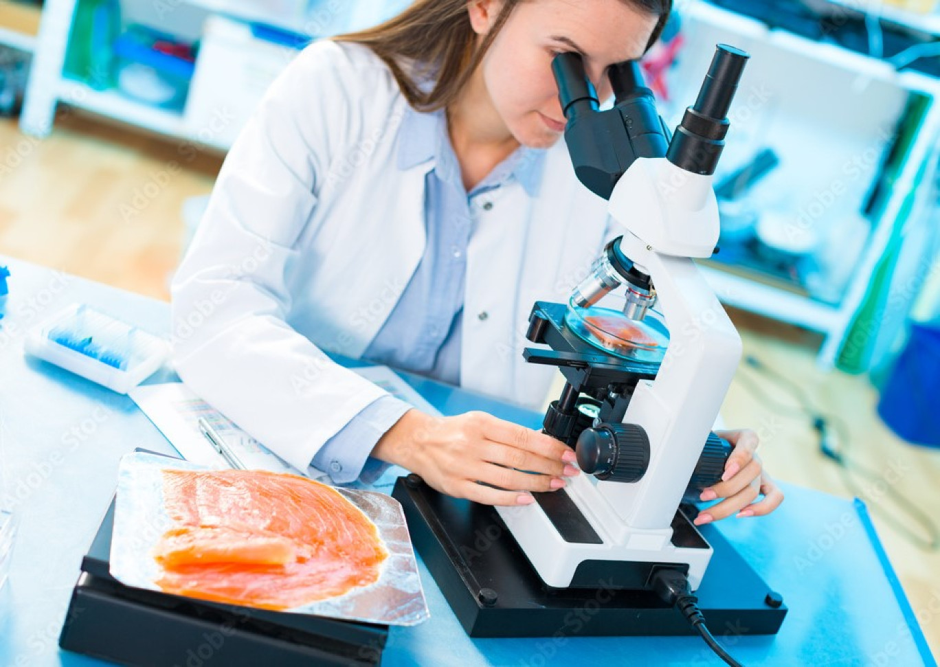 Boulogne-sur-Mer : une avancée majeure dans le contrôle de la qualité des produits de la mer