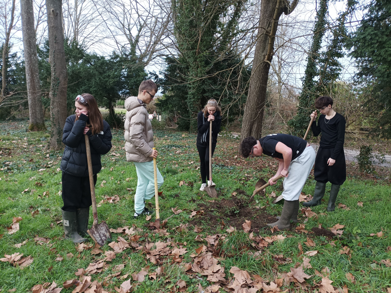 Les élèves ont planté des arbres pour protéger le parc de cyclamens de la Maison familiale et rurale. © MFR Grandchamp-Beaune