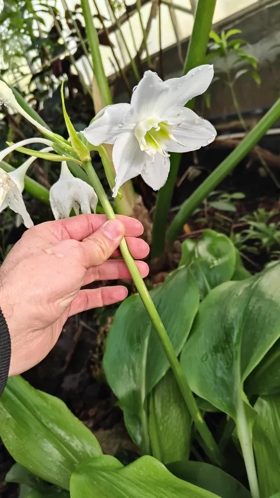 © La Ville de Metz. 