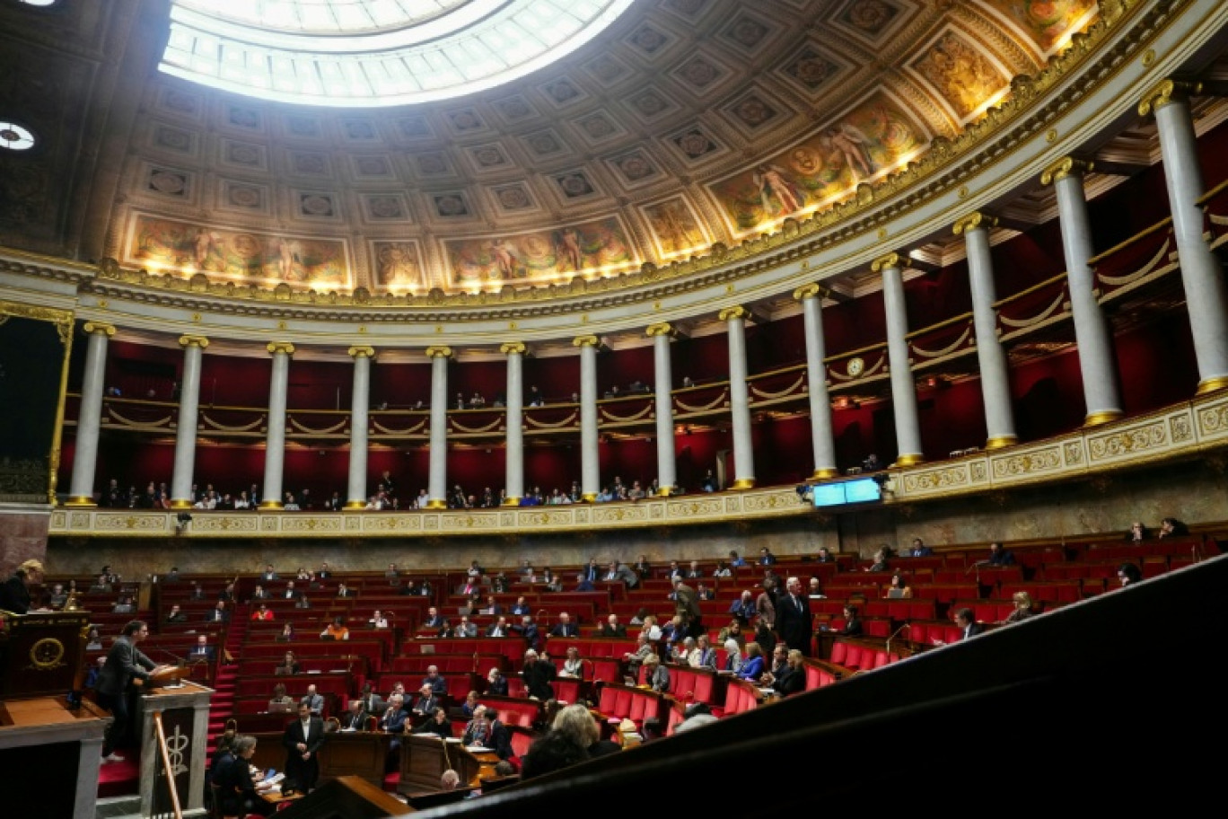 Le débat à l'Assemblée nationale sur la pétition contre la loi Duplomb, initialement prévu mercredi, est repoussé à février © Dimitar DILKOFF