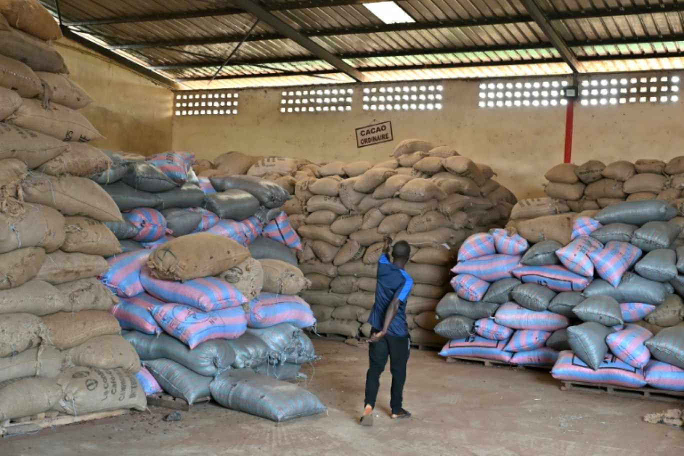 Un homme regarde des sacs de cacao dans l’entrepôt d’une coopérative, à Duekoué, en Côte d'Ivoire, le 15 janvier 2026 © SIA KAMBOU