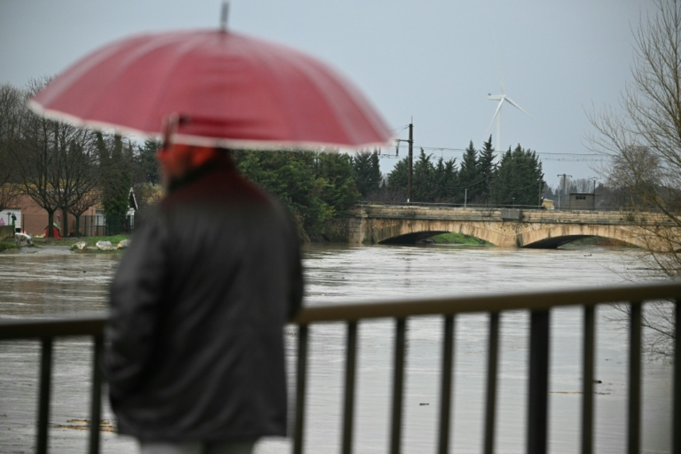 Un passant observe le débordement de l'Aude après des fortes pluies à Coursan, le 19 janvier 2026 dans l'Aude © Lionel BONAVENTURE