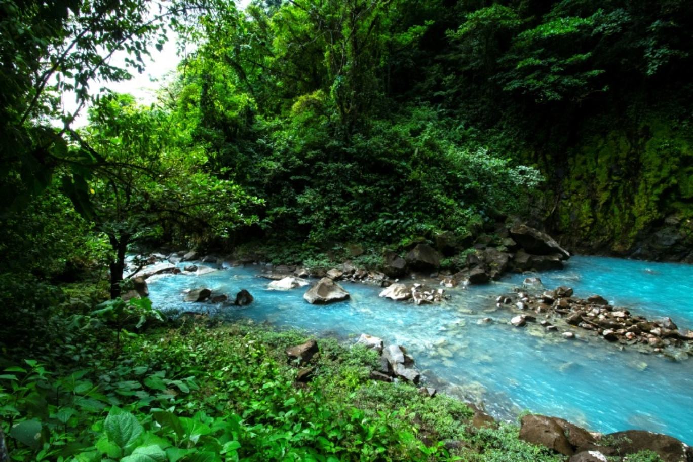 La rivière Céleste, dans le parc national du volcan Tenorio, entre les provinces de Guanacaste et d'Alajuela, au Costa Rica, le 24 mai 2023 © Ezequiel BECERRA