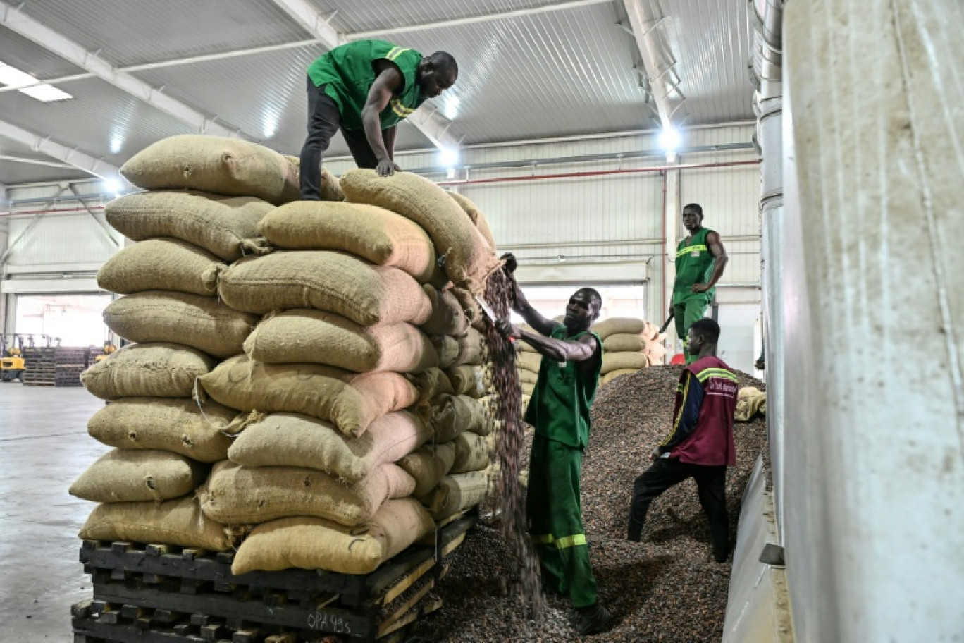 Ouverture des sacs de fèves de cacao en vue de leur broyage, chez Transcao, un beurrier répertorié auprès du Conseil du Café-Cacao (CCC) à Abidjan, le 29 janvier 2026. © Sia KAMBOU