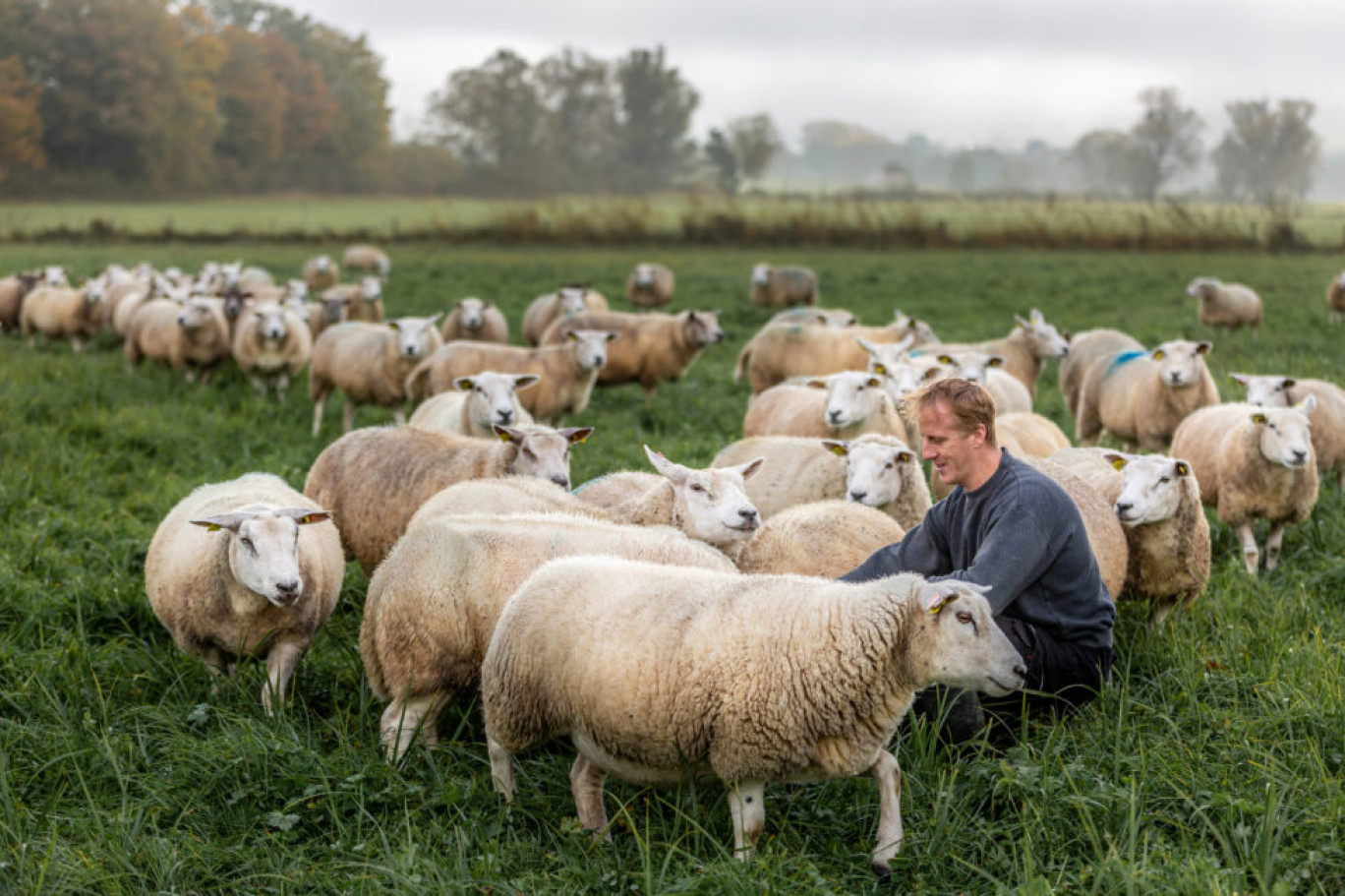 © Mos-Laine. Stéphane Ermann, président de la chambre d'agriculture de la Moselle, porte le projet Mos-Laine depuis son lancement.