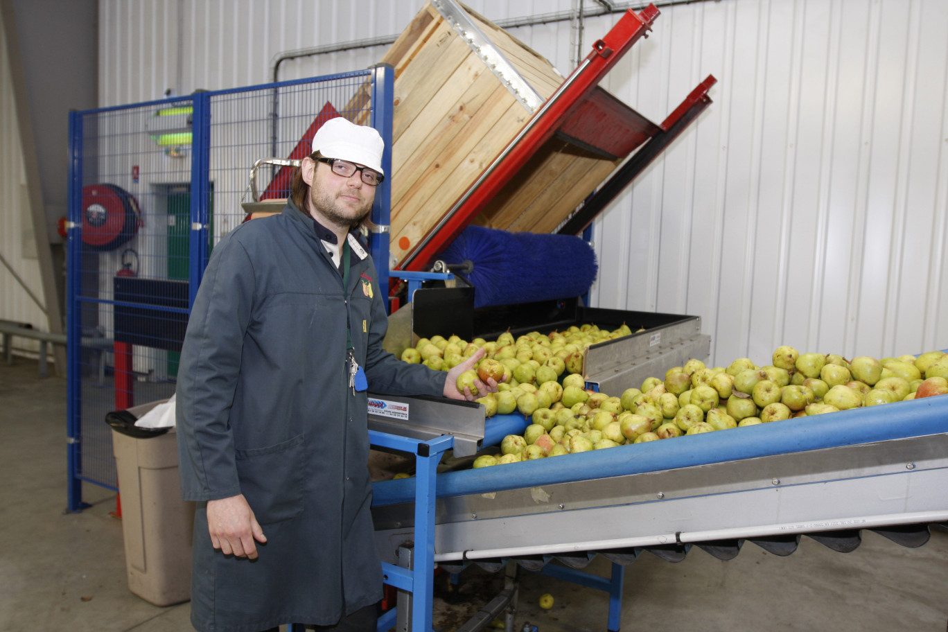 David Varras codirigeant de l'entreprise T & B Verger nous explique comment sont sélectionnées les pommes et les poires avant d'être conditionnées et acheminées vers la grande distribution.