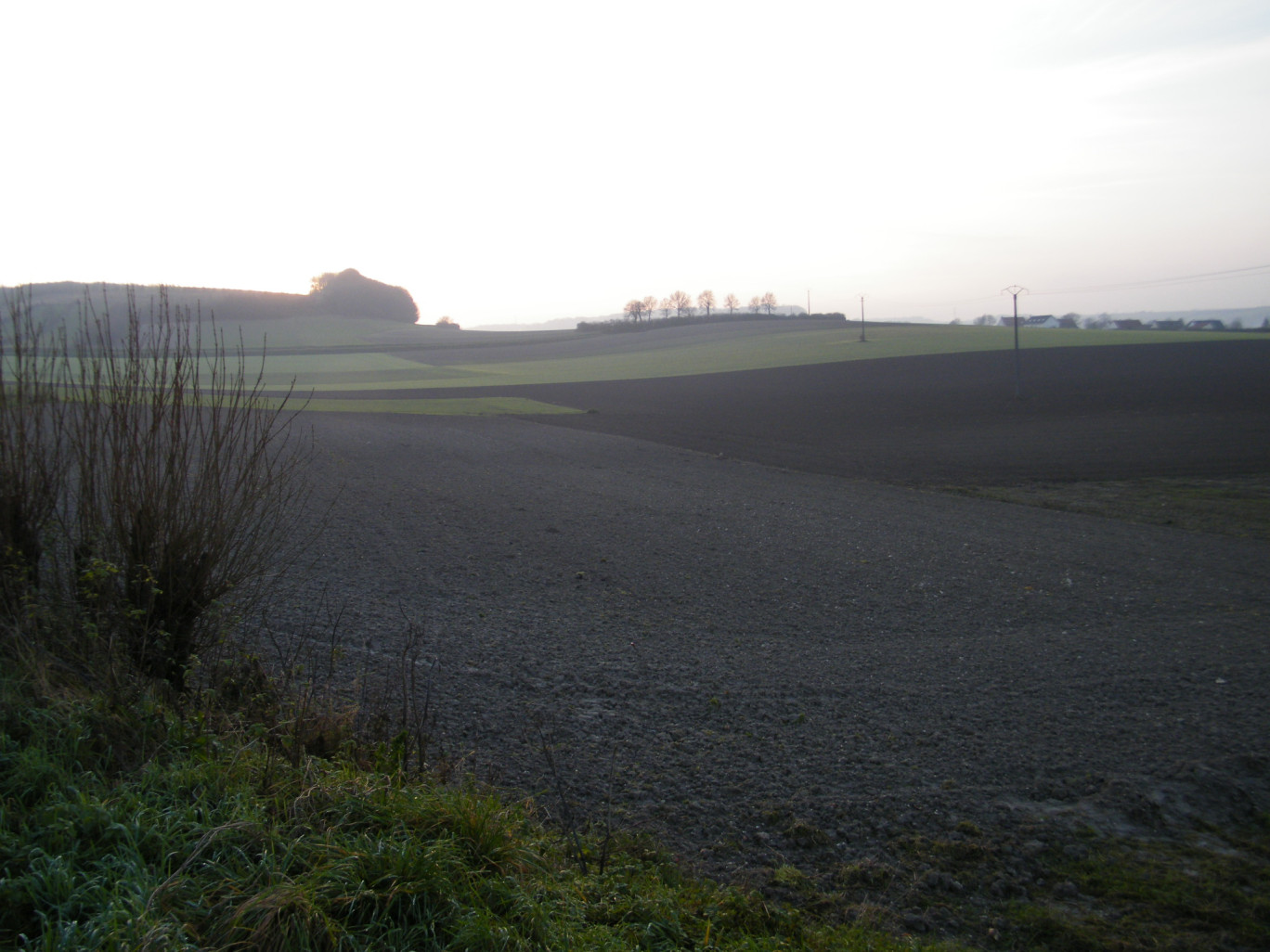 « Les menaces sur le secteur agricoles s'accumulent ».