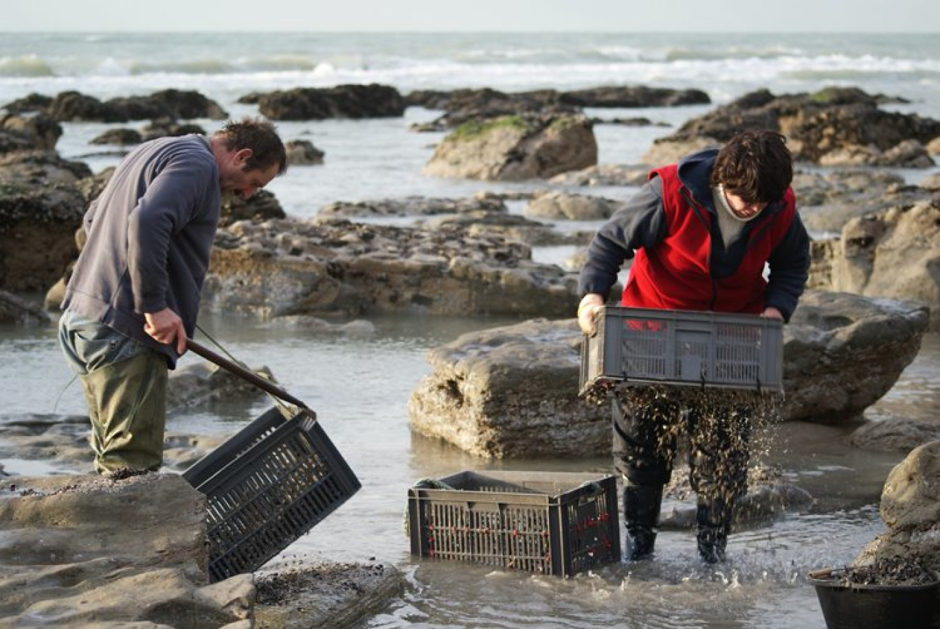 « Journée off des dirigeants avec les pêcheurs de moules ».