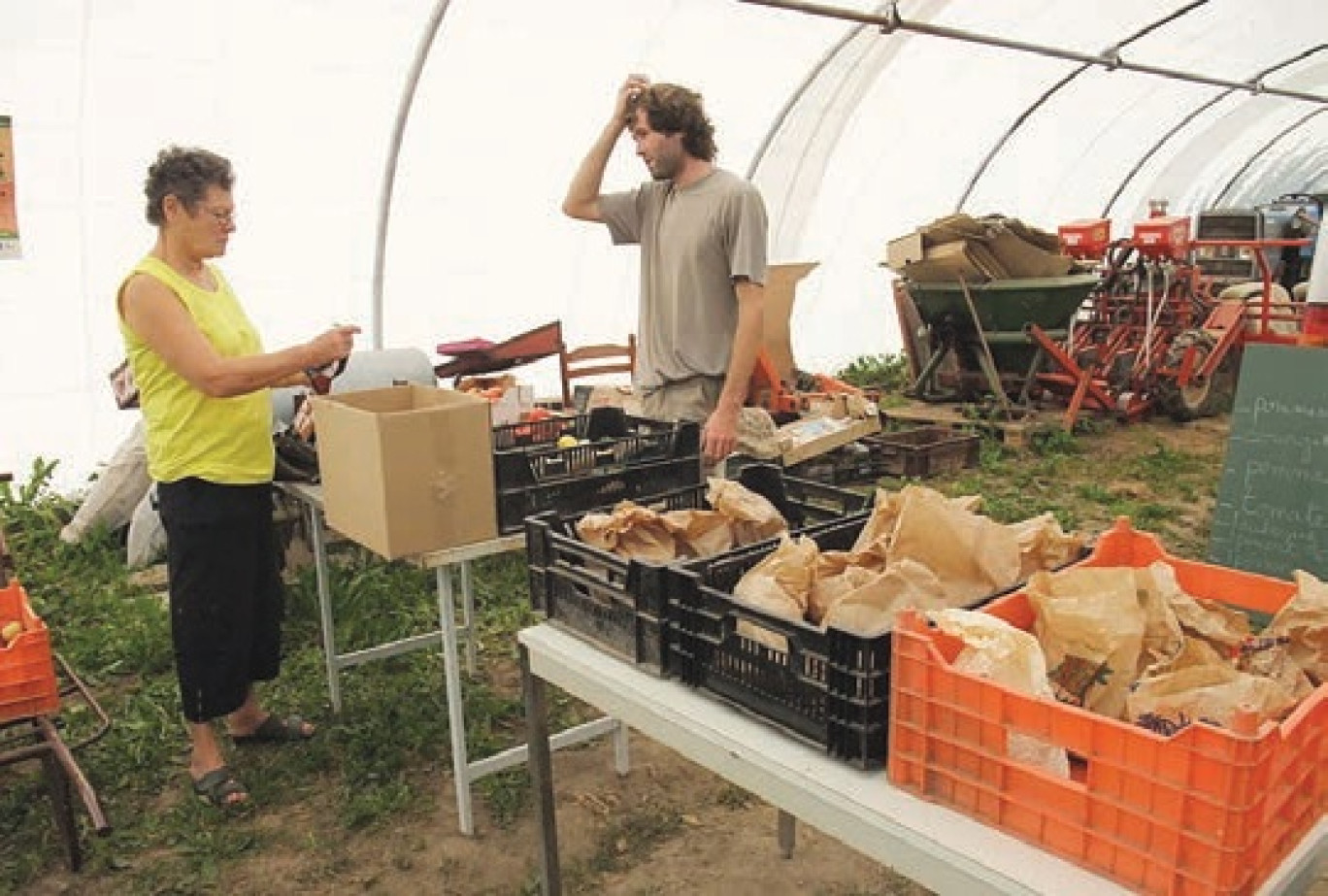“avaaz” veut rétablir la diversification des espèces et la retrouver dans les bacs de l’agriculture raisonnée ou biologique, comme ici près de Pont-à-Marcq.