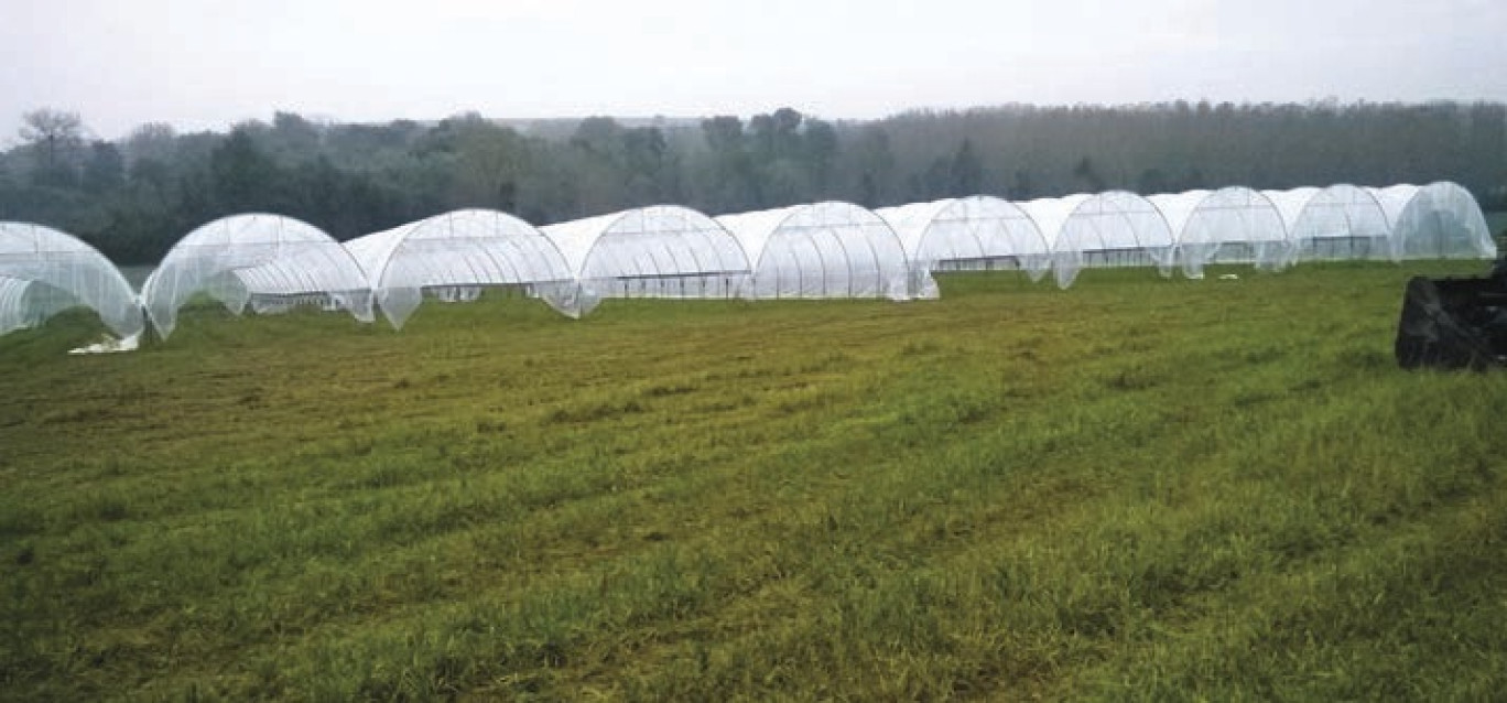 L'espace test s'étend sur 1,5 hectare, dans l'enceinte du lycée agricole du Paraclet, à Cottenchy.