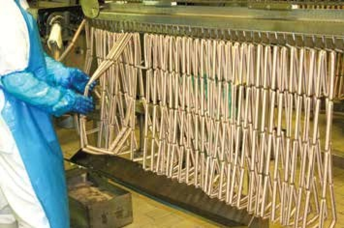 Sur la ligne de production, les knacks peu avant d’être fumées...
