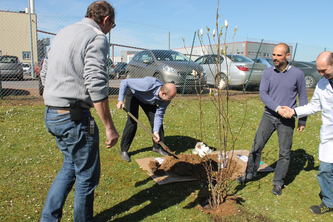 A l’occasion de la « Semaine pour la planète », un magnolia a été planté.