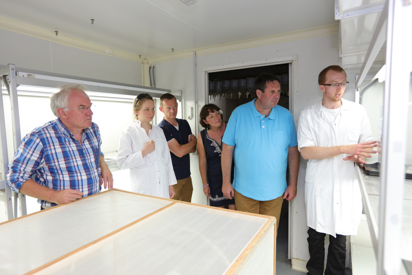 Dans les laboratoires de la FREDON à Loos-en-Gohelle, des expérimentations sont actuellement menées sur la mouche meneuse des alliacées.