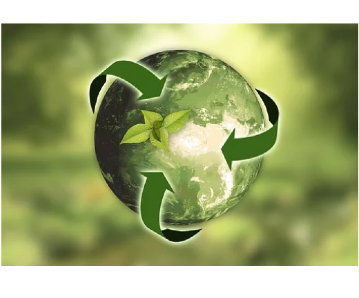 Le recyclage, la lutte contre le gaspillage alimentaire, l’obsolescence programmée, autant de sujets présents dans la loi sur le gaspillage et l’économie circulaire.