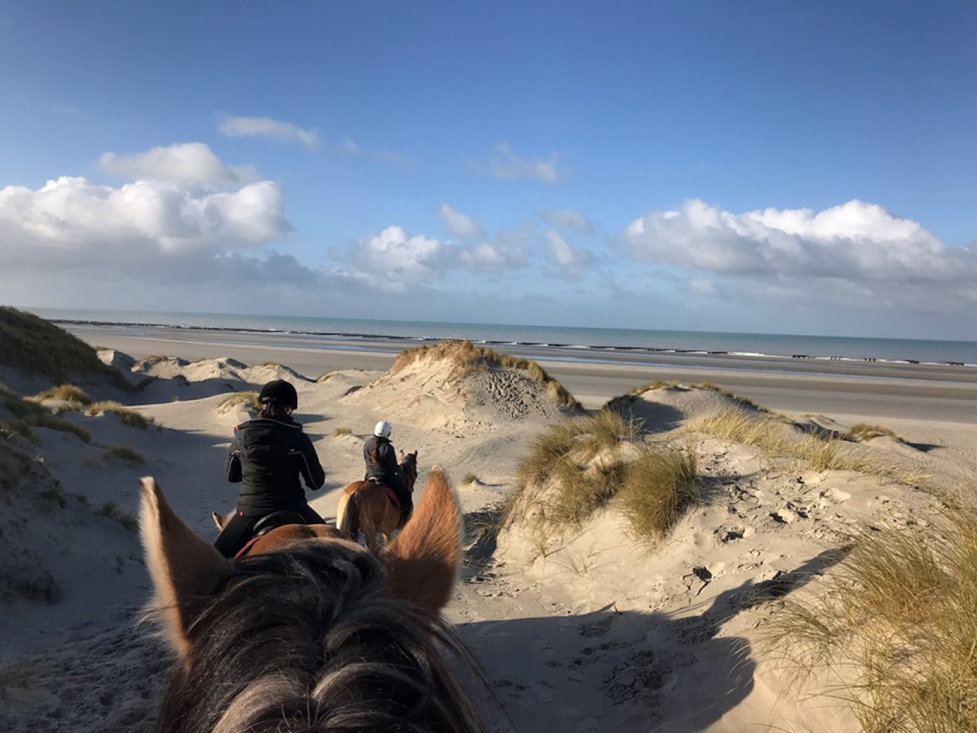 Le Henson en mode baie de Somme.