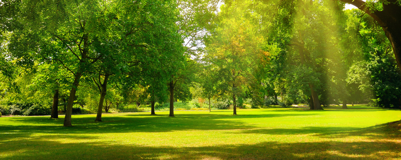 La nature est désormais la priorité.(c)Adobestock