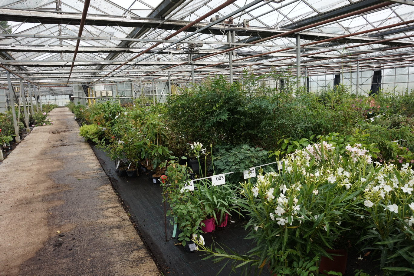 Sur son site Internet, Promesse de Fleurs propose 15 000 références, dix fois plus qu'une grande jardinerie.