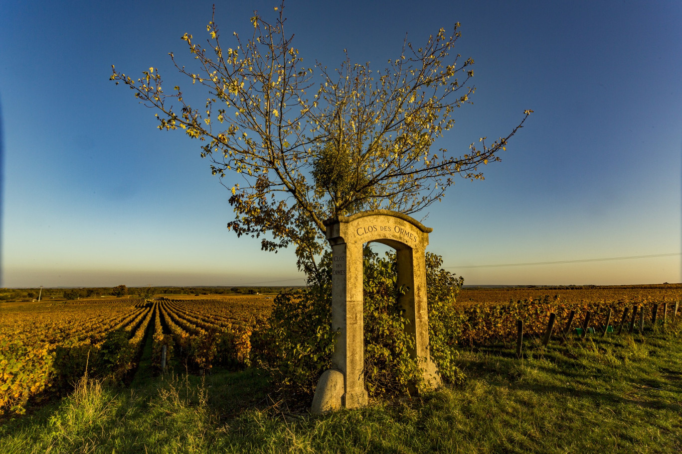 Beaune : Maison des Climats renforce son offre post-covid