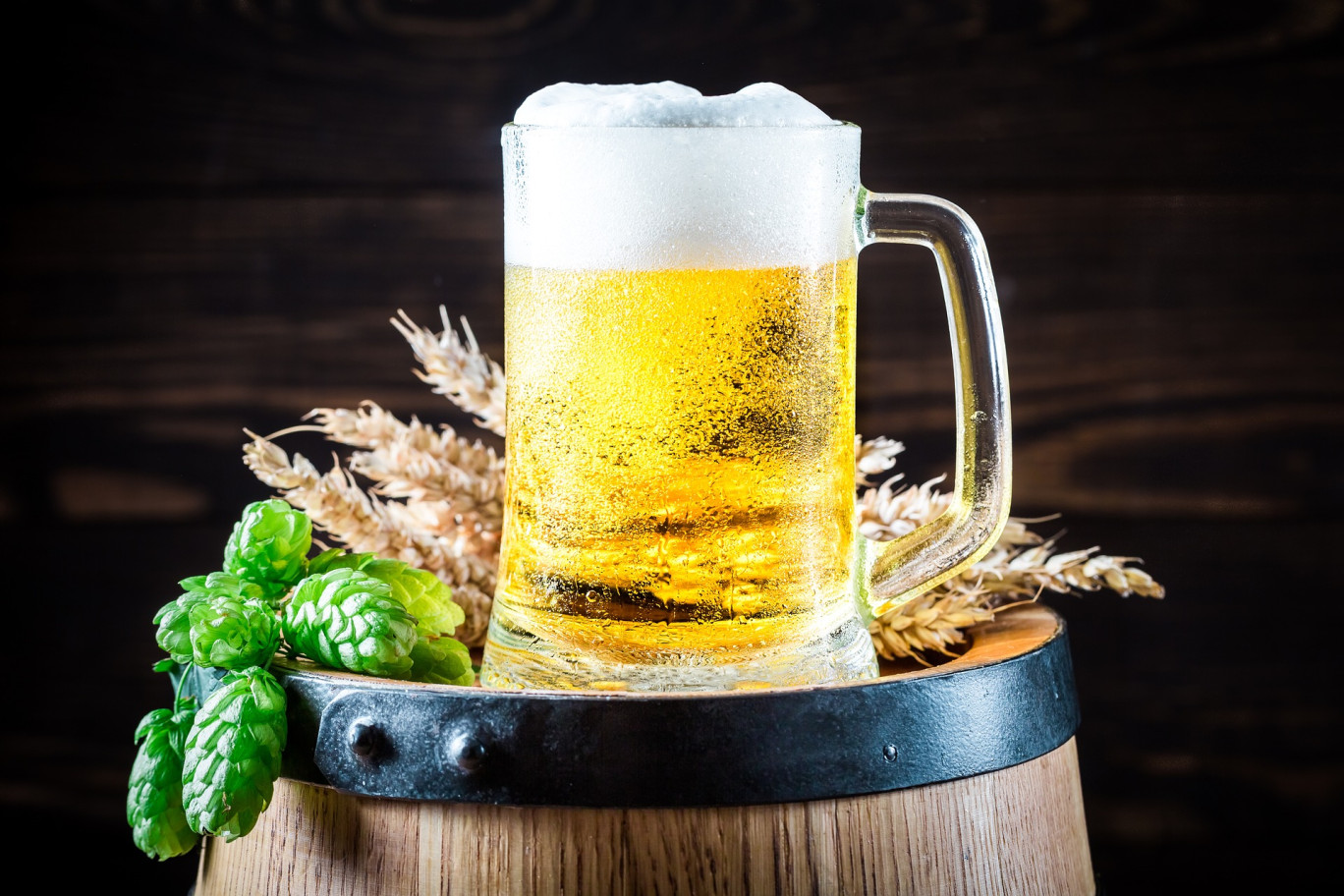 La microbrasserie MIB : un nouveau commerce s’implante à Chalon-sur-Saône