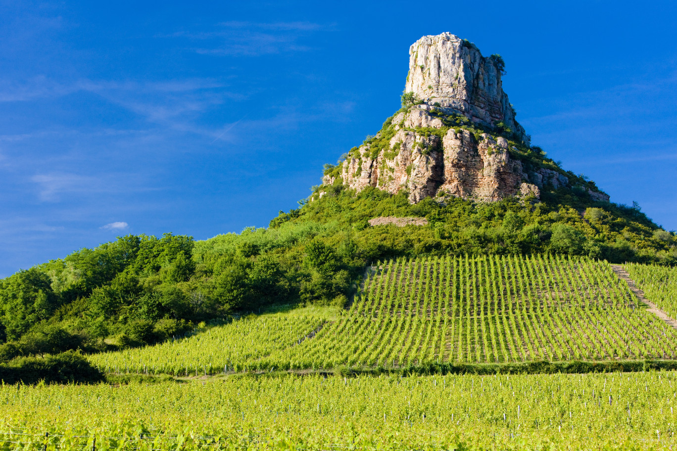 Le label « Grand site de France » renouvelé pour « Solutré-Pouilly-Vergisson »